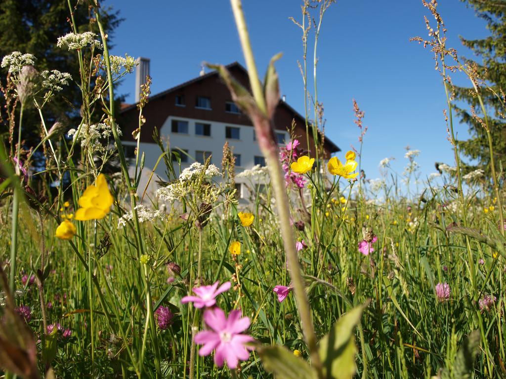 La Roche Du Tresor Village Vacances Longevilles-Mont-d'Or Exterior photo